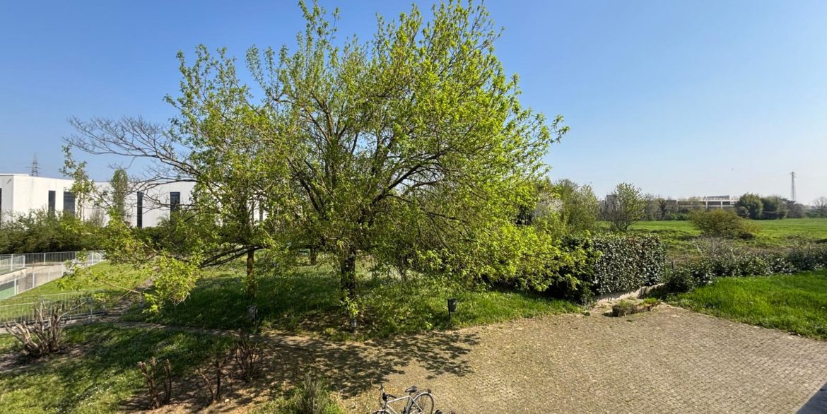 4. VISTA