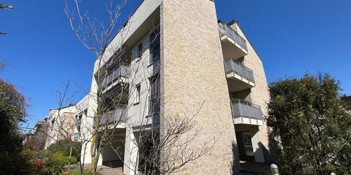 WhatsApp Image 2026-03-16 at 17.11.44