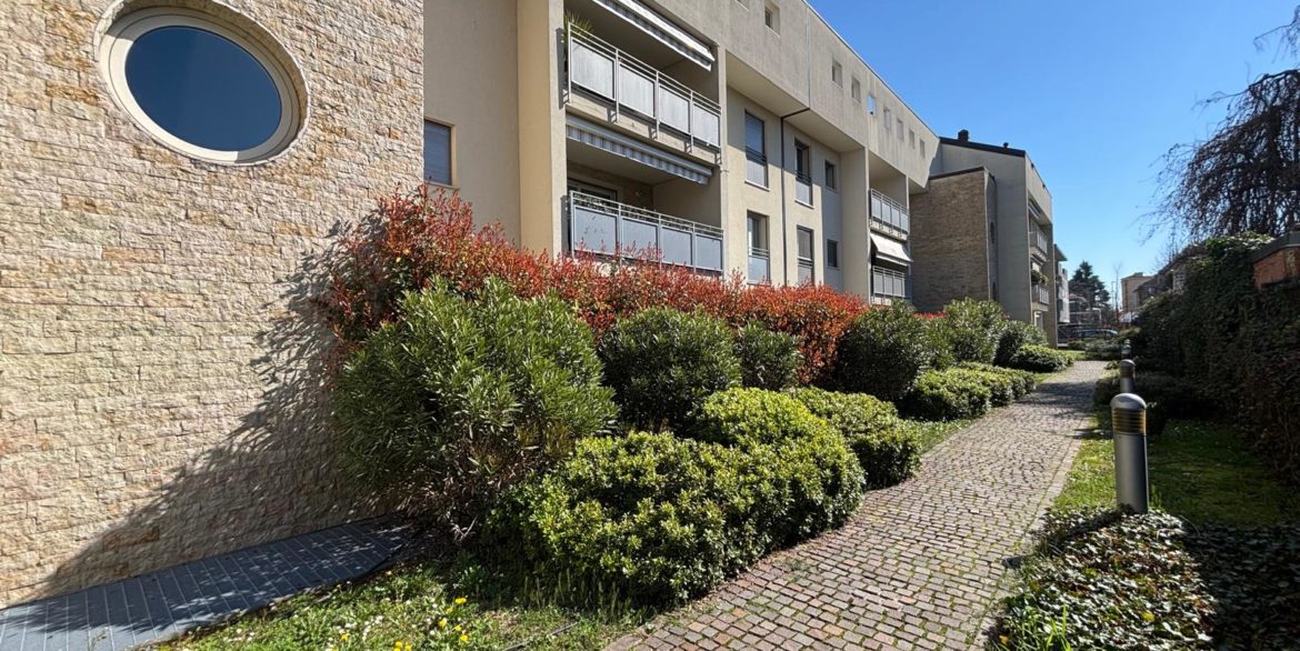 WhatsApp Image 2026-03-16 at 17.11.46 (9)