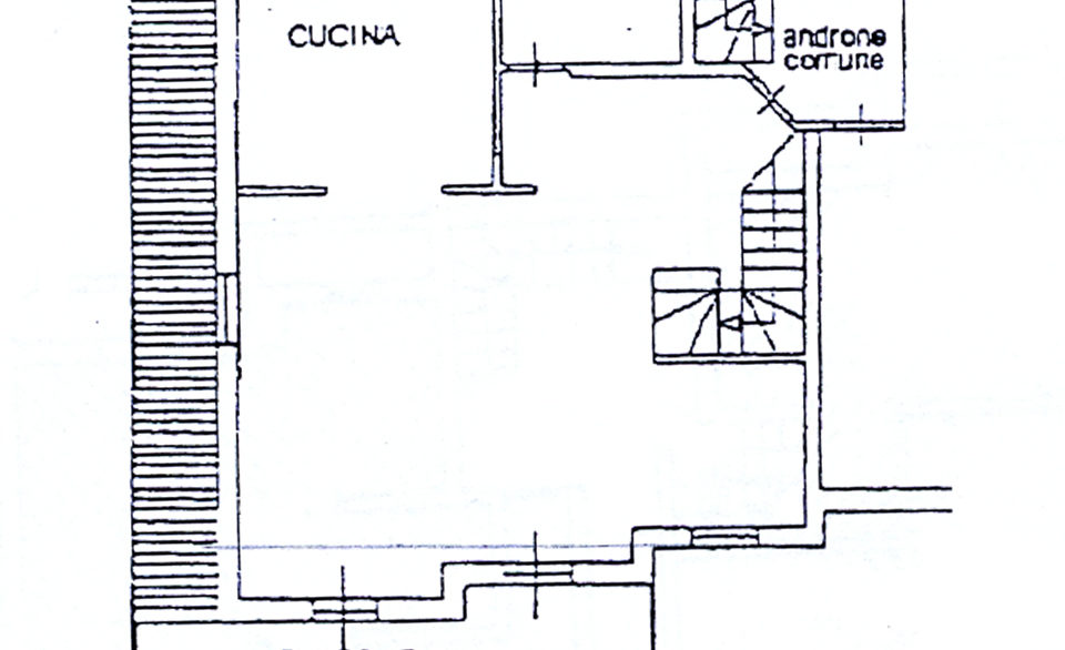 PIANTINA P1
