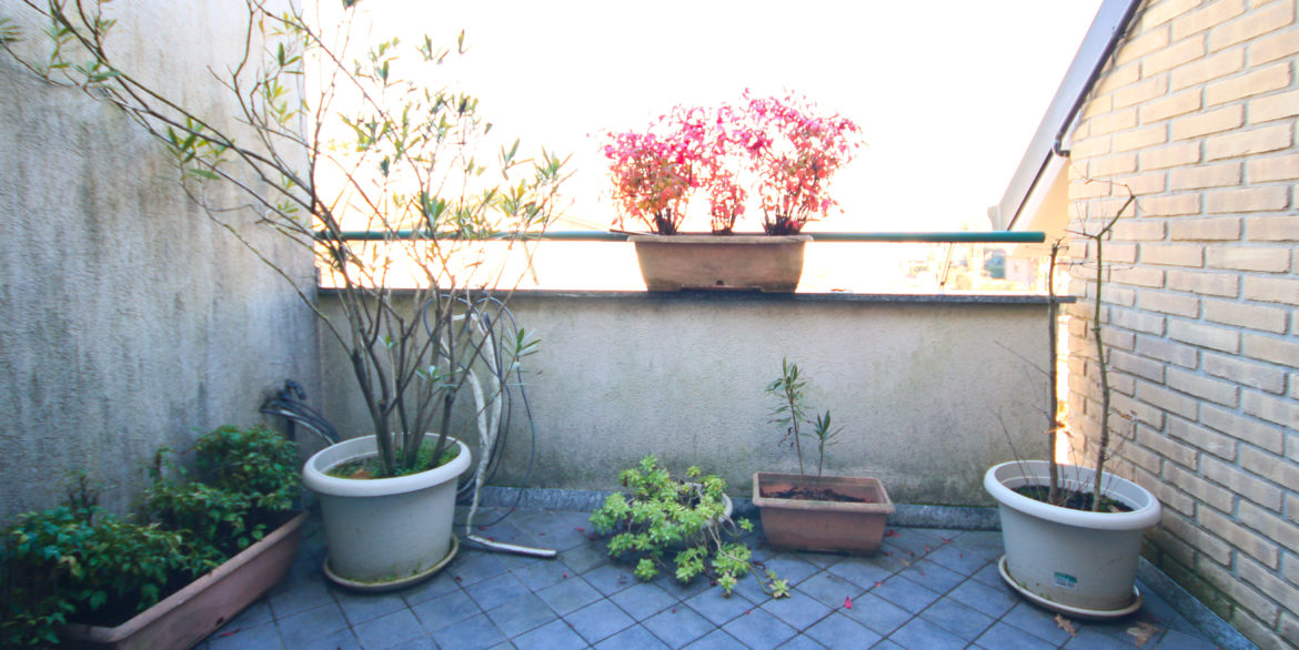 19-terrazzino